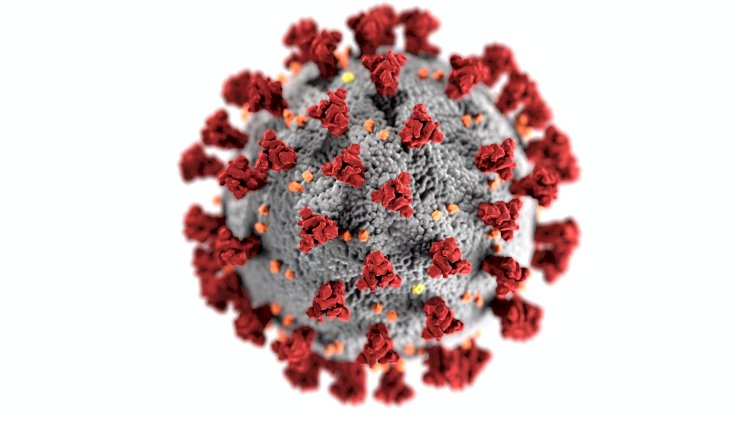 Mutația D614G a noului coronavirus, identificată la pacienții români